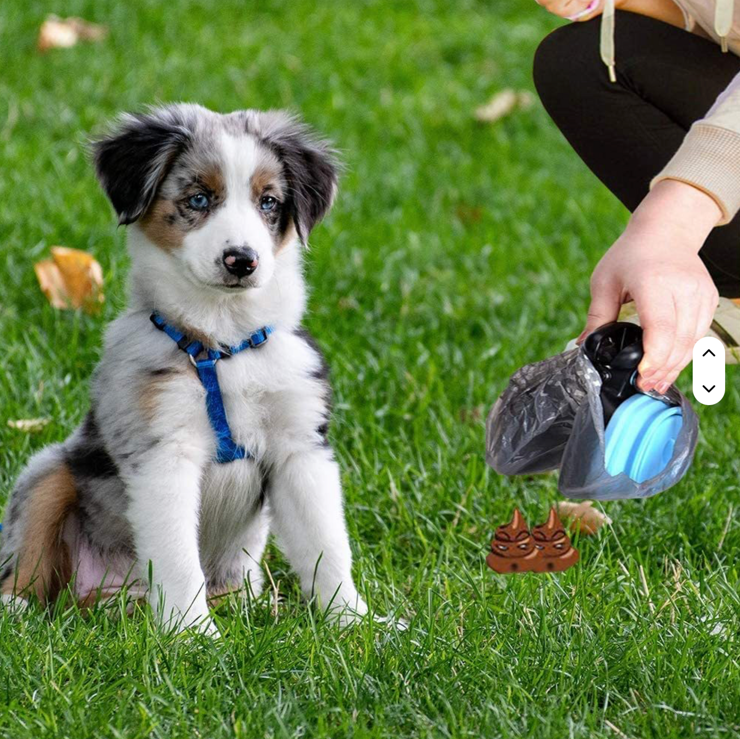Dog poop scooper